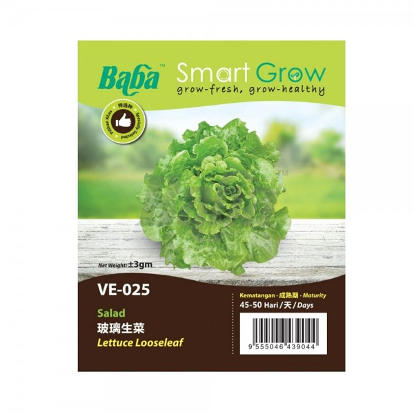 Baba Smart Grow Seeds Ve Lion Head Lettuce Salad Kepala Singa G