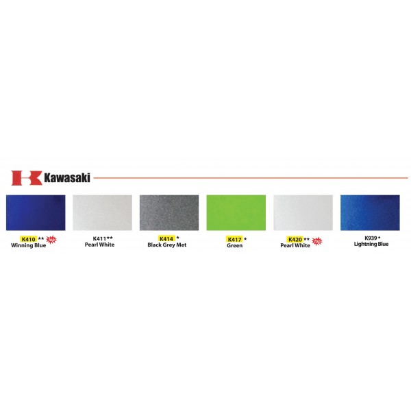 Kawasaki Paint Chart