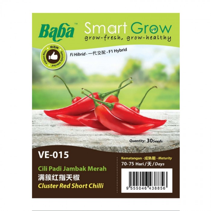 Baba Smart Grow Seeds Ve 015 Hybrid Cluster Red Short Chilli Cili Padi