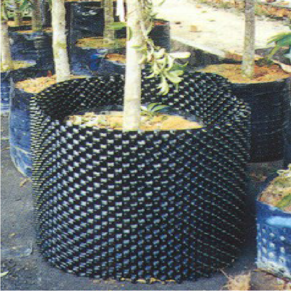 Nylex Rootex RCB 1000L (Linear or Planter Style) Root Control & Barrier ...